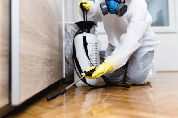 Best Mosquito Control Services  in Hazlehurst, GA