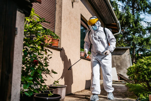 Best Emergency Pest Control  in Hazlehurst, GA