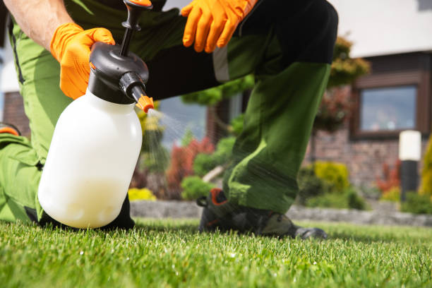 Best Local Pest Control Services  in Hazlehurst, GA