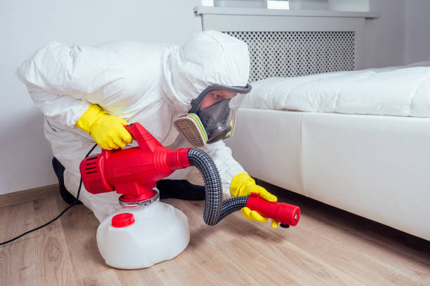 Best Local Pest Control Services  in Hazlehurst, GA