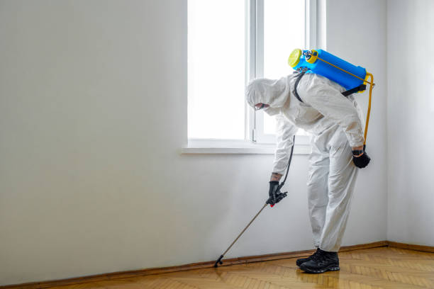Best Residential Pest Control  in Hazlehurst, GA