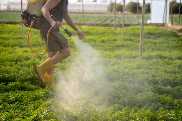 Best Pest Inspection Near Me  in Hazlehurst, GA