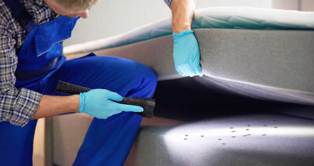 Best Pest Inspection Near Me  in Hazlehurst, GA