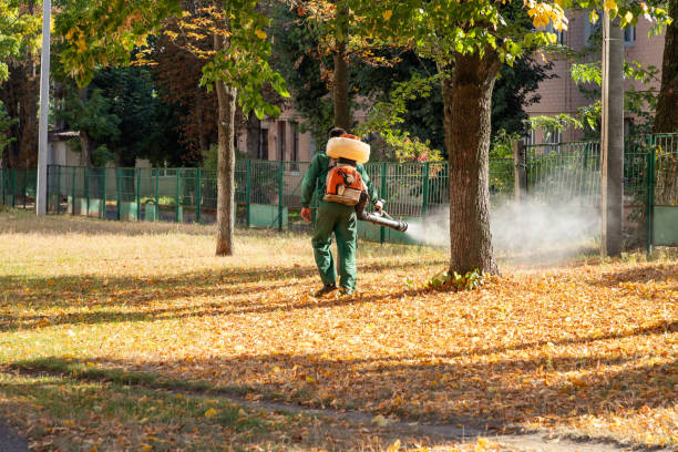 Best Flea Control Services  in Hazlehurst, GA