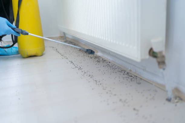 Best Pest Removal Services  in Hazlehurst, GA