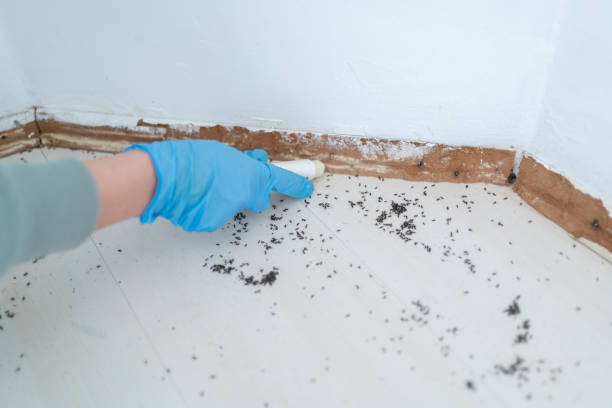 Wildlife Control Services in Hazlehurst, GA