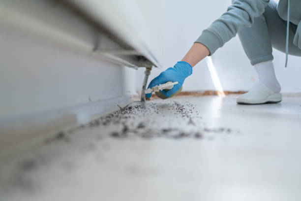 Best Exterminator Services  in Hazlehurst, GA